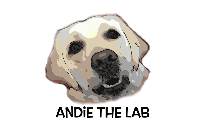 Andie The Lab 